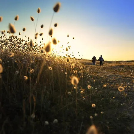 Maison Avec Jardin Pour 4 - 800m De La Feriehus *