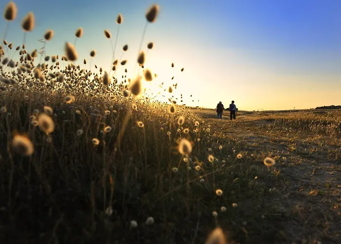Maison Avec Jardin Pour 4 - 800m De La Prázdninový dům *